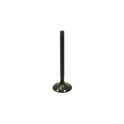 Zawór wydechowy Bronco stalowy Polaris RZR 170 09-18 (454522) (AU-09213E) Zawór wydechowy Bronco stalowy Polaris RZR 170 09-18 (454522) (AU-09213E)