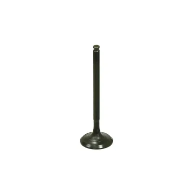 Zawór ssący Bronco stalowy Kawasaki KAF 820 Mule 15-18 (12004-0732) (AU-09209I) Zawór ssący Bronco stalowy Kawasaki KAF 820 Mule 15-18 (12004-0732) (AU-09209I)