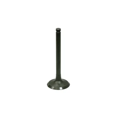 Zawór ssący Bronco stalowy Kawasaki KAF 400 Mule 05-18 (12004-7004) (AU-09208I) Zawór ssący Bronco stalowy Kawasaki KAF 400 Mule 05-18 (12004-7004) (AU-09208I)
