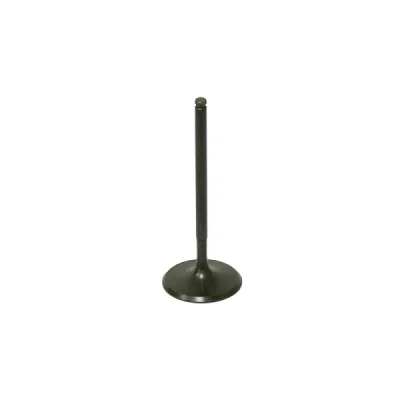 Zawór ssący Bronco stalowy Polaris 570 12-16 RZR 900 11-14 RZR 1000 14-16 (AU-09190I)