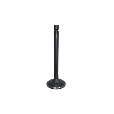 Zawór ssący Bronco stalowy Yamaha YFM 80 85-08 (AU-09152I) Zawór ssący Bronco stalowy Yamaha YFM 80 85-08 (AU-09152I)