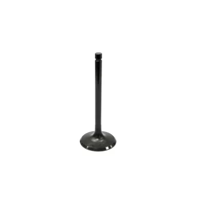 Zawór ssący Bronco stalowy Kawasaki KVF 360 Prairie 03-13 (AU-09026I) Zawór ssący Bronco stalowy Kawasaki KVF 360 Prairie 03-13 (AU-09026I)