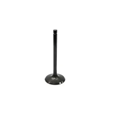 Zawór ssący Bronco stalowy Honda TRX 420 FA FPA FPE FPM FE FM TE TM 09-20 TRX 500 FE FM FPE FPM TM 05-19 (AU-09014I) Zawór ssący Bronco stalowy Honda TRX 420 FA FPA FPE FPM FE FM TE TM 09-20 TRX 500 FE FM FPE FPM TM 05-19 (AU-09014I)