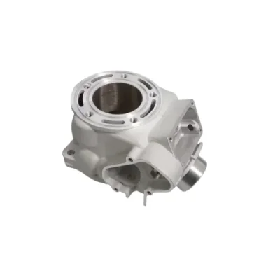 Promx 2024/05 Cylinder Yamaha Yz 125 '05-'21 (Std 54Mm) Nicasil Promx 2024/05 Cylinder Yamaha Yz 125 '05-'21 (Std 54Mm) Nicasil