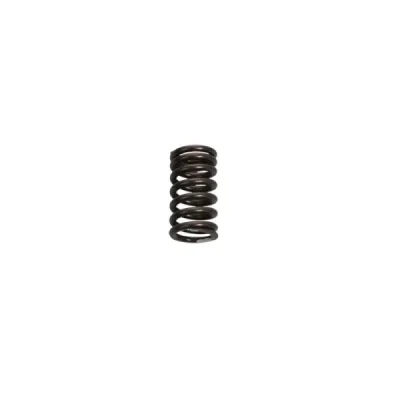 Kawasaki Oem Sprężyna Zaworowa Kx 250F (Kx250F) '04-'19 Kawasaki Oem Sprężyna Zaworowa Kx 250F (Kx250F) '04-'19