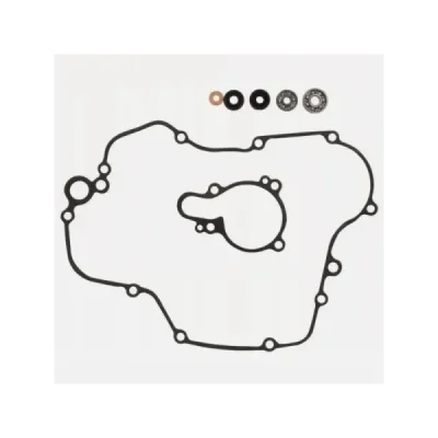 Zestaw naprawczy pompy wody Centauro 722A004WB