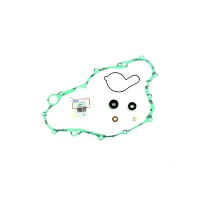 Zestaw naprawczy pompy wody Centauro 990A008WB