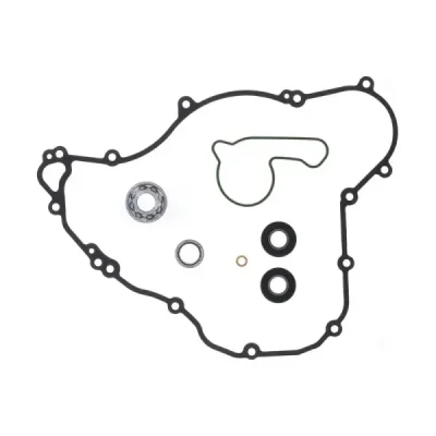Zestaw naprawczy pompy wody Centauro 731A020WB