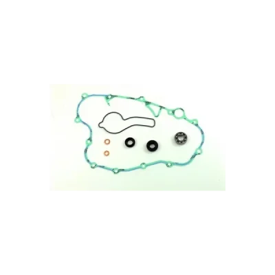 Zestaw naprawczy pompy wody Centauro 666A004WB