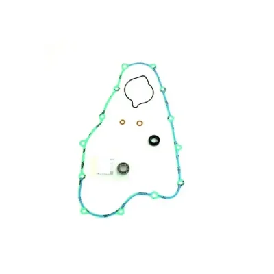 Zestaw naprawczy pompy wody Centauro 666A010WB
