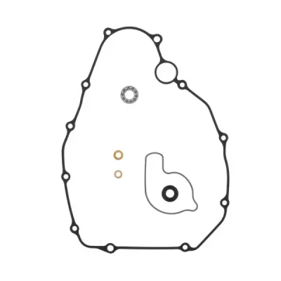 Zestaw naprawczy pompy wody Centauro 666A015WB