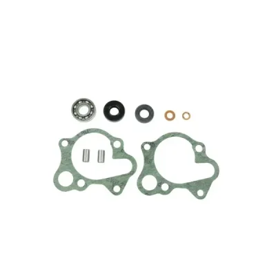 Zestaw naprawczy pompy wody Centauro 666A002WP Zestaw naprawczy pompy wody Centauro 666A002WP