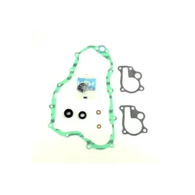 Zestaw naprawczy pompy wody Centauro 666A005WB