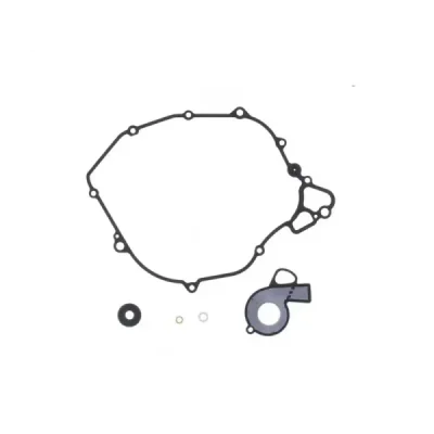 Zestaw naprawczy pompy wody Centauro 731A024WB Zestaw naprawczy pompy wody Centauro 731A024WB
