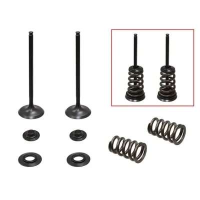 Zawory ssące ze sprężynami Psychic stalowe KTM SX-F EXC-F 250 05-07 - XU-09550IK
