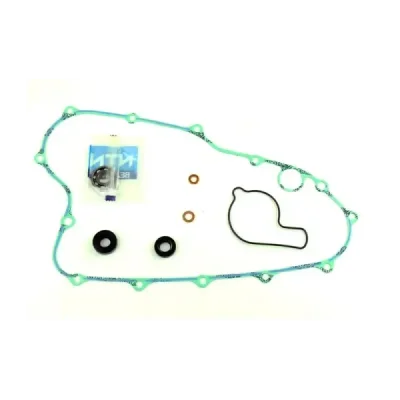 Zestaw naprawczy pompy wody Centauro 666A009WB Zestaw naprawczy pompy wody Centauro 666A009WB