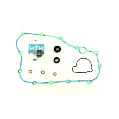 Zestaw naprawczy pompy wody Centauro 666A007WB Zestaw naprawczy pompy wody Centauro 666A007WB