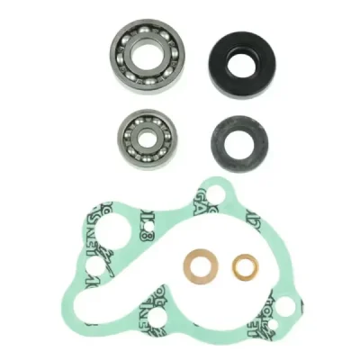 Zestaw naprawczy pompy wody Centauro 666A001WP Zestaw naprawczy pompy wody Centauro 666A001WP