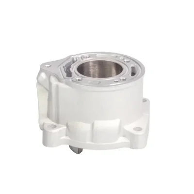 Cylinder KTM SX 65 '09-'23, Husqvarna TC 65 '17-'23, Gas Gas MC 65 '21-'23 STD 45MM Nicasil - PROMX