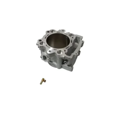Cylinder YFM 700 Grizzly '07-'15, YFM 700 R Raptor '06-'20 STD 102mm Nicasil - PROMX Cylinder YFM 700 Grizzly '07-'15, YFM 700 R Raptor '06-'20 STD 102mm Nicasil - PROMX