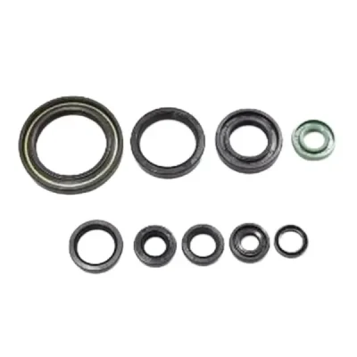 Uszczelniacze silnika komplet Bearing Worx OSK90228 (822228) Uszczelniacze silnika komplet Bearing Worx OSK90228 (822228)