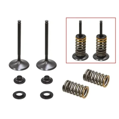 Zawory ssące ze sprężynami Psychic stalowe Yamaha YZF 450 10-13 - XU-09541IK Zawory ssące ze sprężynami Psychic stalowe Yamaha YZF 450 10-13 - XU-09541IK
