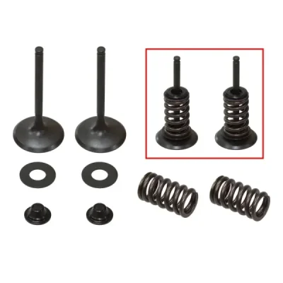 Zawory ssące ze sprężynami Psychic stalowe Kawasaki KXF 450 09-15 - XU-09528IK