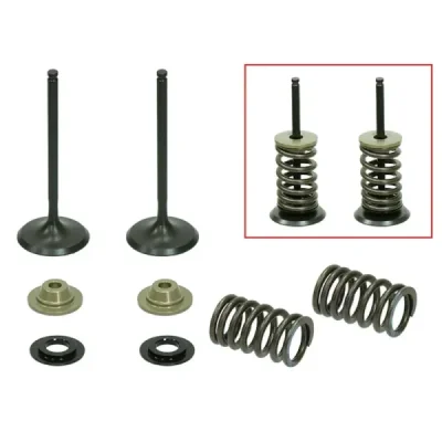 Zawory ssące ze sprężynami Psychic stalowe Kawasaki KXF 250 07-10 - XU-09515IK
