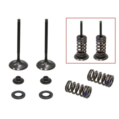 Zawory ssące ze sprężynami Psychic stalowe Kawasaki KXF 250 04-06 Suzuki RMZ 250 04-06 - XU-09509IK