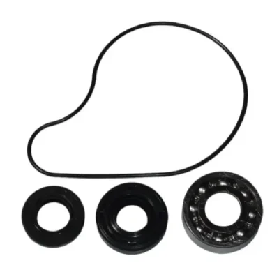 Zestaw naprawczy pompy wody Bearing Worx WMK90005 (WPK0016) Zestaw naprawczy pompy wody Bearing Worx WMK90005 (WPK0016)