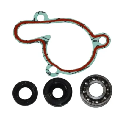 Zestaw naprawczy pompy wody Bearing Worx WMK90002 (WPK0022) Zestaw naprawczy pompy wody Bearing Worx WMK90002 (WPK0022)