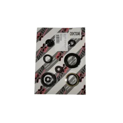 Uszczelniacze silnika komplet Bearing Worx OSK70346 (822346) Uszczelniacze silnika komplet Bearing Worx OSK70346 (822346)