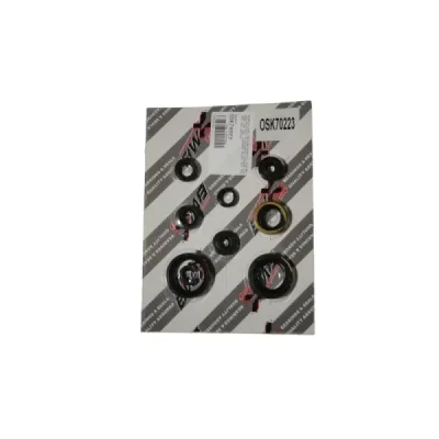 Uszczelniacze silnika komplet Bearing Worx OSK70223 (822223) Uszczelniacze silnika komplet Bearing Worx OSK70223 (822223)
