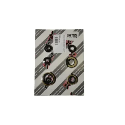 Uszczelniacze silnika komplet Bearing Worx OSK70176 (822176)
