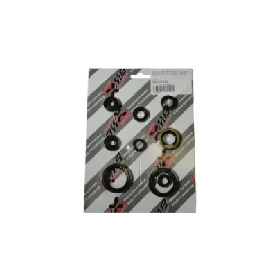 Uszczelniacze silnika komplet Bearing Worx OSK50316 (822316) Uszczelniacze silnika komplet Bearing Worx OSK50316 (822316)