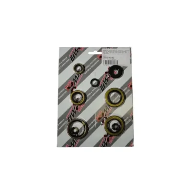 Uszczelniacze silnika komplet Bearing Worx OSK50296 (822296)