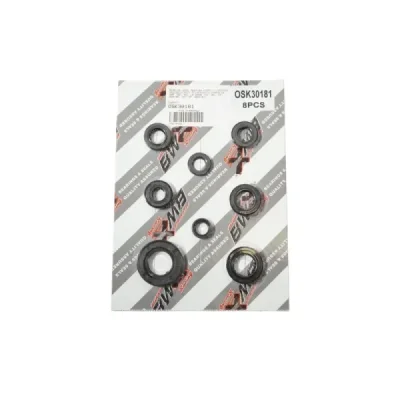 Uszczelniacze silnika komplet Bearing Worx OSK30181 (822181) Uszczelniacze silnika komplet Bearing Worx OSK30181 (822181)