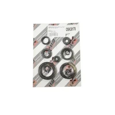 Uszczelniacze silnika komplet Bearing Worx OSK30178 (822178)