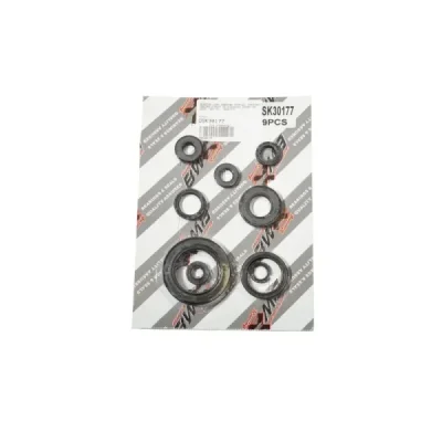 Uszczelniacze silnika komplet Bearing Worx OSK30177 (822177)