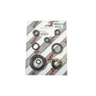 Uszczelniacze silnika komplet Bearing Worx OSK30111 (822111) Uszczelniacze silnika komplet Bearing Worx OSK30111 (822111)