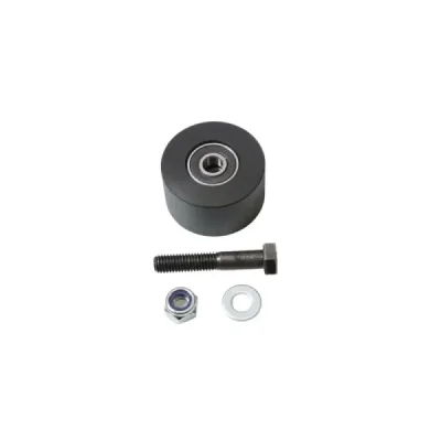 Bearing Worx rolka łańcucha Yamaha YZ WR 125-500 YZ-F ’87-’19 43x8mm szer. 24mm (79-5007)