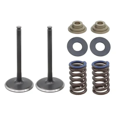 Zawory ssące ze sprężynami Psychic stalowe Kawasaki KXF 450 17-18 - XU-09562IK