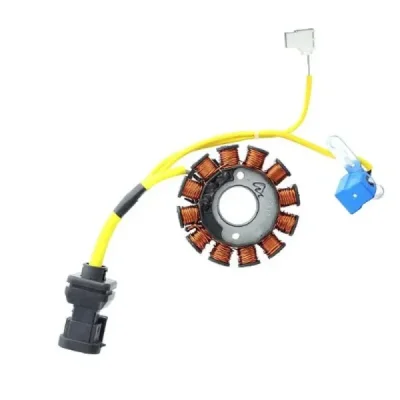 Stator iskrownik, stojan alternatora, 12 cewek, Electrosport ESG194 Stator iskrownik, stojan alternatora, 12 cewek, Electrosport ESG194