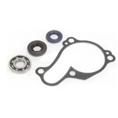 Zestaw naprawczy pompy wody Bearing Worx WMK90008 (WPK0029) Zestaw naprawczy pompy wody Bearing Worx WMK90008 (WPK0029)