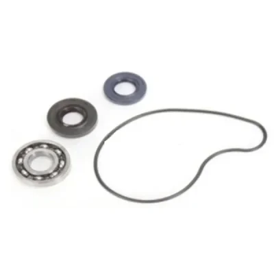 Zestaw naprawczy pompy wody Bearing Worx WMK90004 (WPK0017) Zestaw naprawczy pompy wody Bearing Worx WMK90004 (WPK0017)
