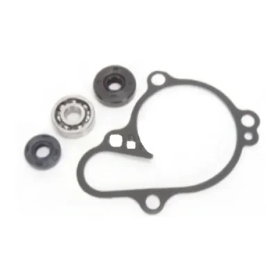 Zestaw naprawczy pompy wody Bearing Worx WMK90003 (WPK0020) Zestaw naprawczy pompy wody Bearing Worx WMK90003 (WPK0020)