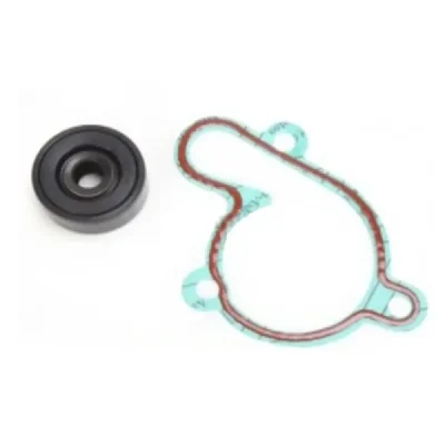 Zestaw naprawczy pompy wody Bearing Worx WMK90001 (WPK0021) Zestaw naprawczy pompy wody Bearing Worx WMK90001 (WPK0021)