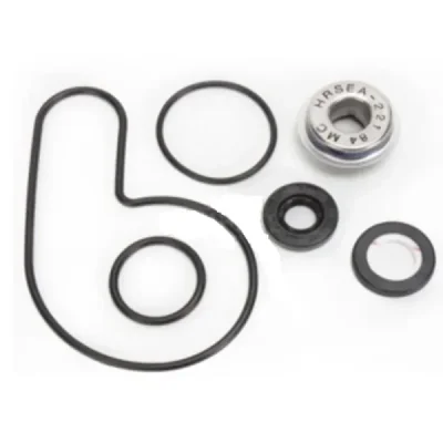 Zestaw naprawczy pompy wody Bearing Worx WMK70008 (WPK0054) Zestaw naprawczy pompy wody Bearing Worx WMK70008 (WPK0054)