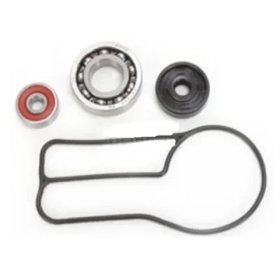 Zestaw naprawczy pompy wody Bearing Worx WMK60006 (WPK0049) Zestaw naprawczy pompy wody Bearing Worx WMK60006 (WPK0049)