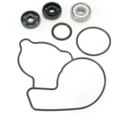 Zestaw naprawczy pompy wody Bearing Worx WMK50004 (WPK0036) Zestaw naprawczy pompy wody Bearing Worx WMK50004 (WPK0036)